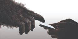 gorilla glass 6 corning smartphone beskyttelse / newz-dk