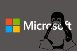 microsoft linux open source software open invention network patenter / Newz.dk