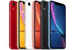 iphone 11 næste 2019 usb-c lightning beholder / Newz.dk