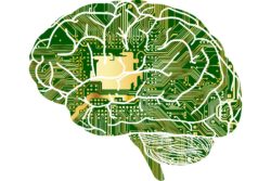 undersøgelse kunstig intelligens tager jobs arbejde ai / Newz.dk