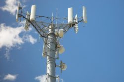 5g sundhedsskadelig sundhed forsker ingen fare signal / Newz.dk
