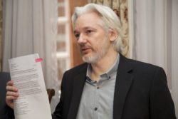 julian assange wikileaks stifter anholdt storbritannien london ecuador ambassade / Newz.dk