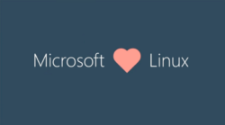 microsoft windows 10 linux kerne kernel indbygget subsystem wsl2 / Newz.dk