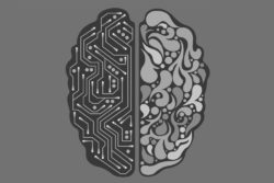kunstig intelligens ai ansigtsgenkendelse teknologi jobsamtaler storbritannien uk unilever / Newz.dk