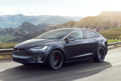 tesla elon musk prutte gede lyde kokosnødder sikkerhedsregler dyt / Newz.dk
